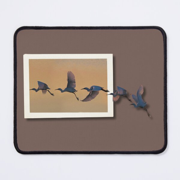 Item preview, Freedom in Flight designed and sold by Pierp7.