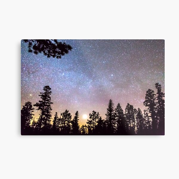 Star Light Star Bright Metal Print