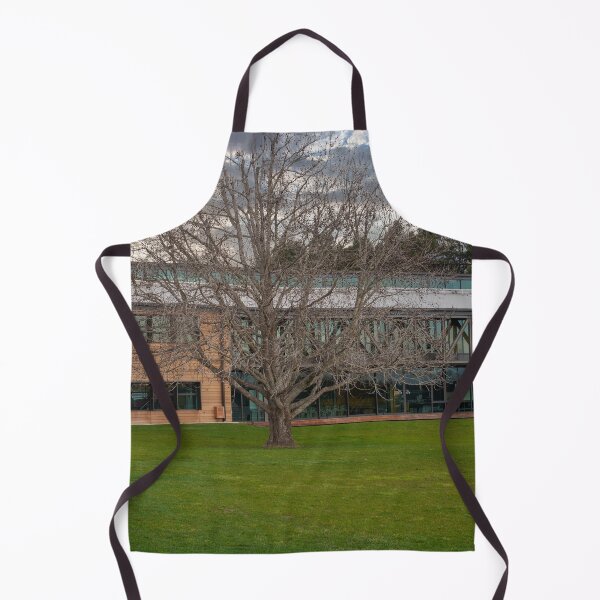 Item preview, Modern Park Building designed and sold by Michael McGimpsey.