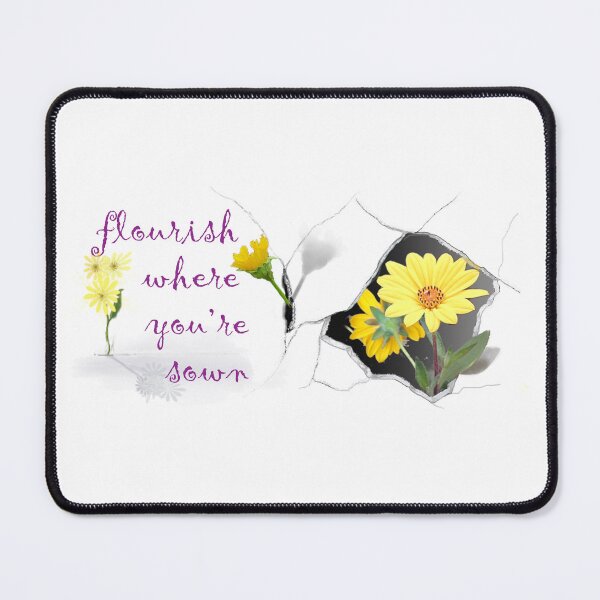 Item preview, buttermilk daisy growing through broken ceramic designed and sold by LWB-artistry.