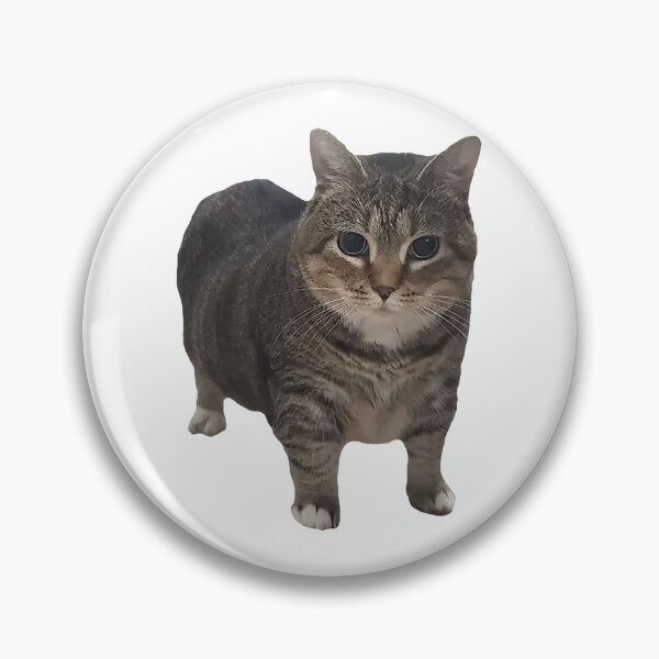 Item preview, Spinning Cat Meme Sticker designed and sold by Shidesama.