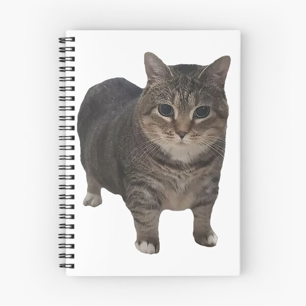 Item preview, Spinning Cat Meme Sticker designed and sold by Shidesama.