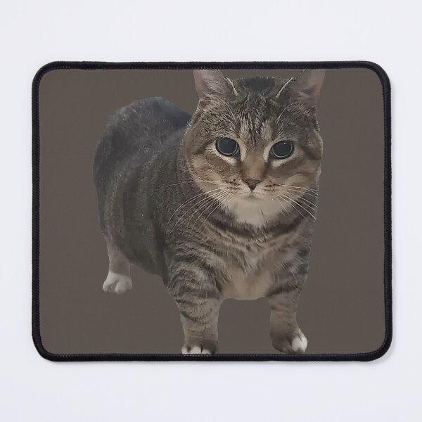Item preview, Spinning Cat Meme Sticker designed and sold by Shidesama.