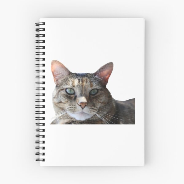 Item preview, Tabby Cat designed and sold by Shellbelle44.