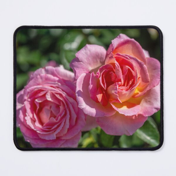 Item preview, Two Pink Rose Blossoms designed and sold by SafariByMarisa.
