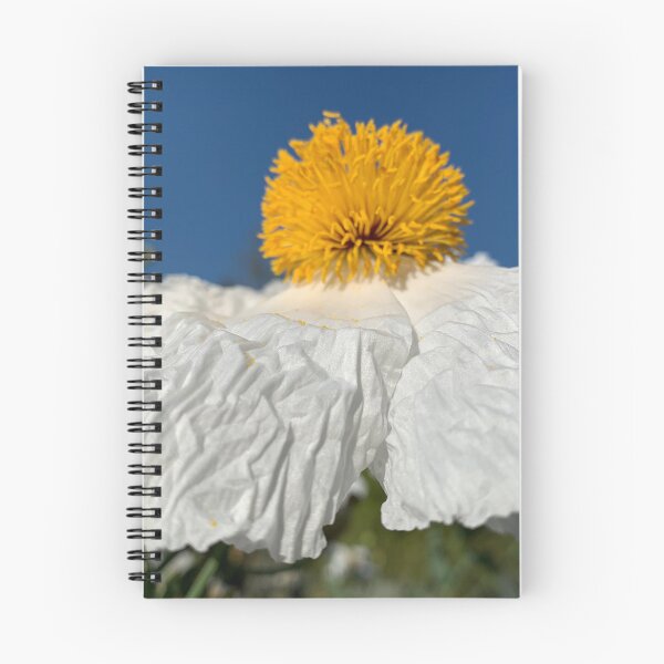 Item preview, Poppy blooming designed and sold by agnessa38.