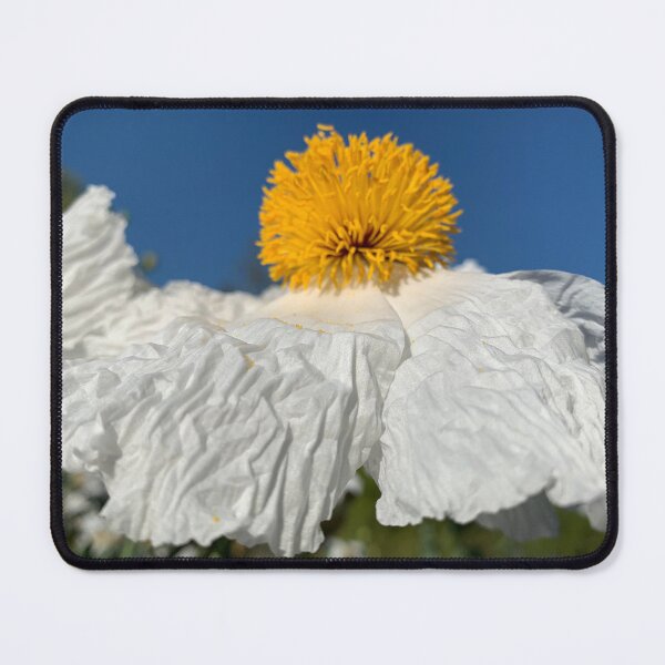 Item preview, Poppy blooming designed and sold by agnessa38.