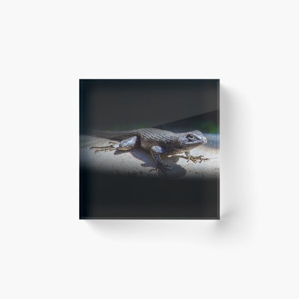Item preview, Western Fence Lizard designed and sold by CarolM.