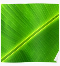 Green steak by FreddiJr Poster