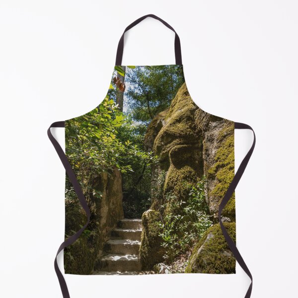 Item preview, Stairways of Stone at Monserrate Palace Sintra Portugal designed and sold by PsychoAlien.com.
