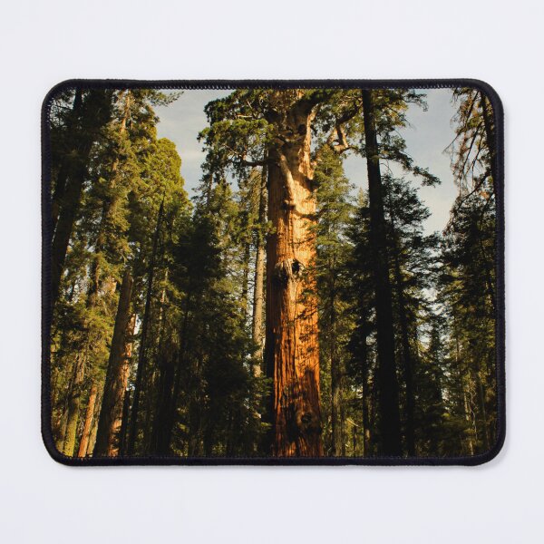 Item preview, Sequoia National Park designed and sold by supernova23.