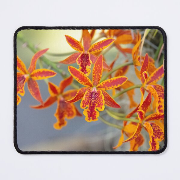 Item preview, Orchid Radiance designed and sold by Diego Re.