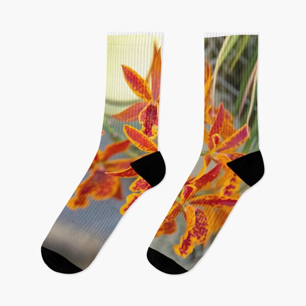 Item preview, Orchid Radiance designed and sold by Diego Re.