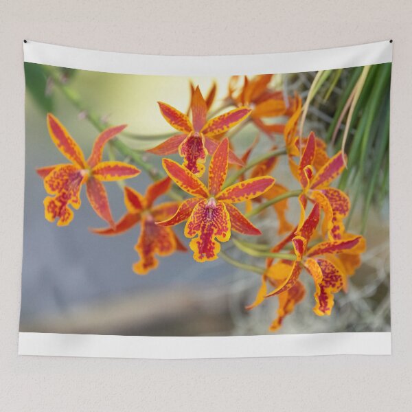 Item preview, Orchid Radiance designed and sold by Diego Re.