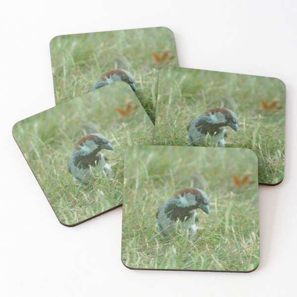 Item preview, #131 - House Sparrow designed and sold by lewiswhatsisnme.
