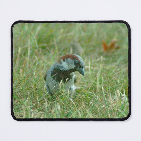Item preview, #131 - House Sparrow designed and sold by lewiswhatsisnme.
