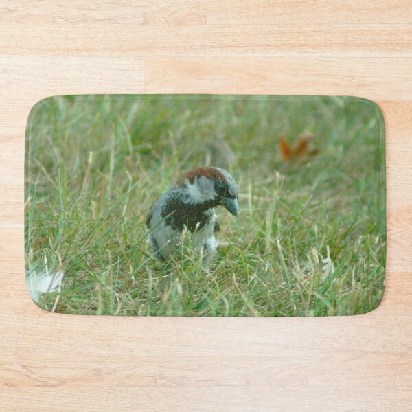 Item preview, #131 - House Sparrow designed and sold by lewiswhatsisnme.