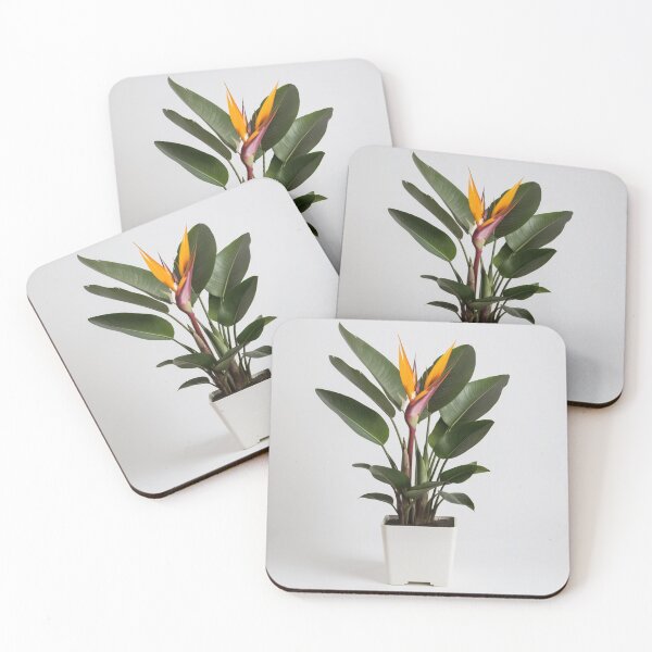 Item preview, Tropical Elegance designed and sold by M Khan.
