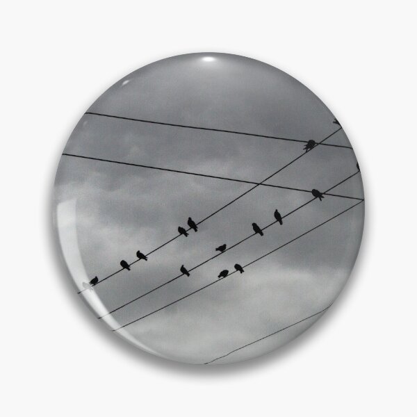 Item preview, #611 - Pigeons designed and sold by lewiswhatsisnme.