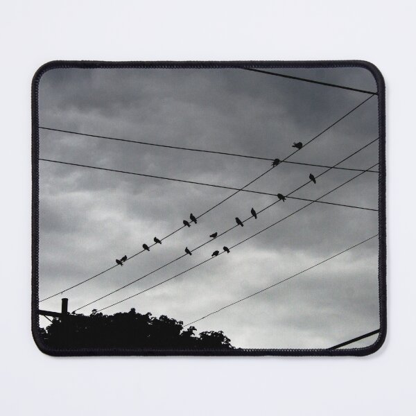 Item preview, #611 - Pigeons designed and sold by lewiswhatsisnme.