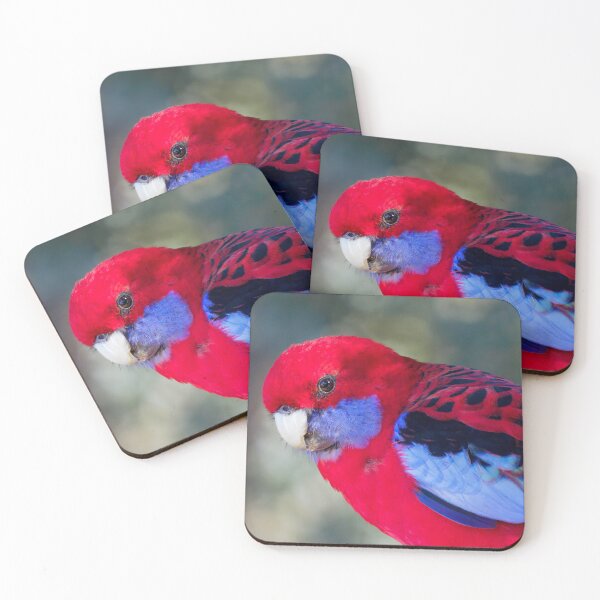 Item preview, Crimson Rosella designed and sold by PhotosbySandyS.