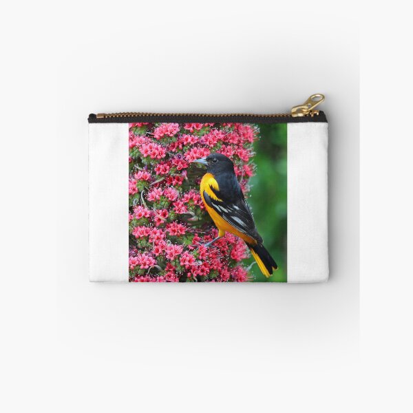 Artikelvorschau, Baltimore Oriole entworfen und verkauft von Anthony Goldman.