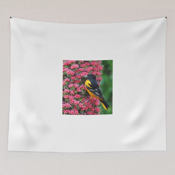 Artikelvorschau, Baltimore Oriole entworfen und verkauft von Anthony Goldman.