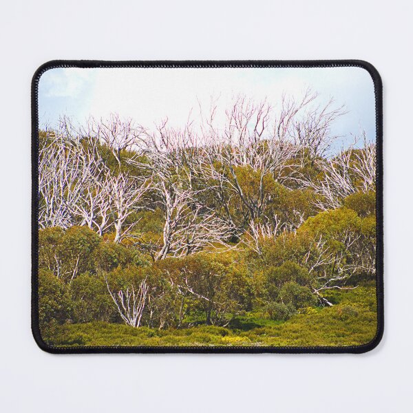 Item preview, Snow Gums Falls Creek Victoria Australia designed and sold by Joy Watson - Natural Light Photography .