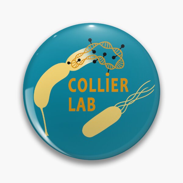 Item preview, test designed and sold by Noémie Matthey.