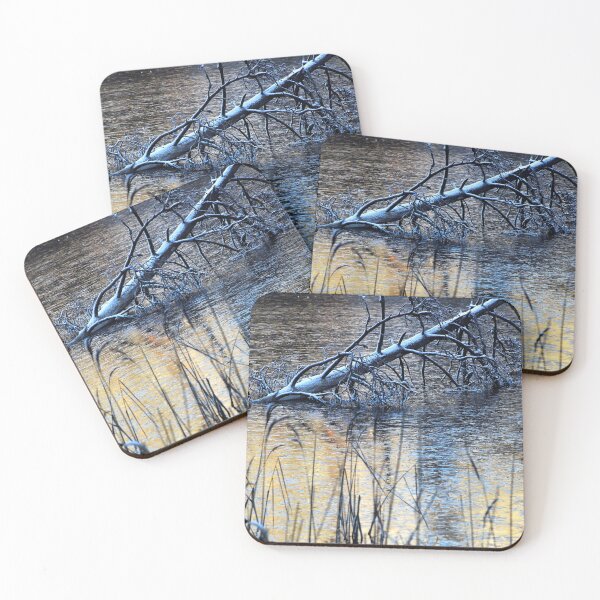 Item preview, 4.12.2024: Deadwood and Frozen Pond designed and sold by Petri Volanen.