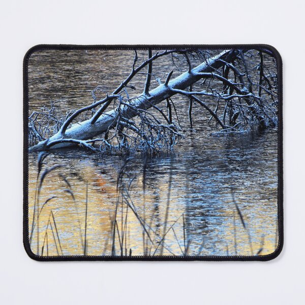 Item preview, 4.12.2024: Deadwood and Frozen Pond designed and sold by Petri Volanen.