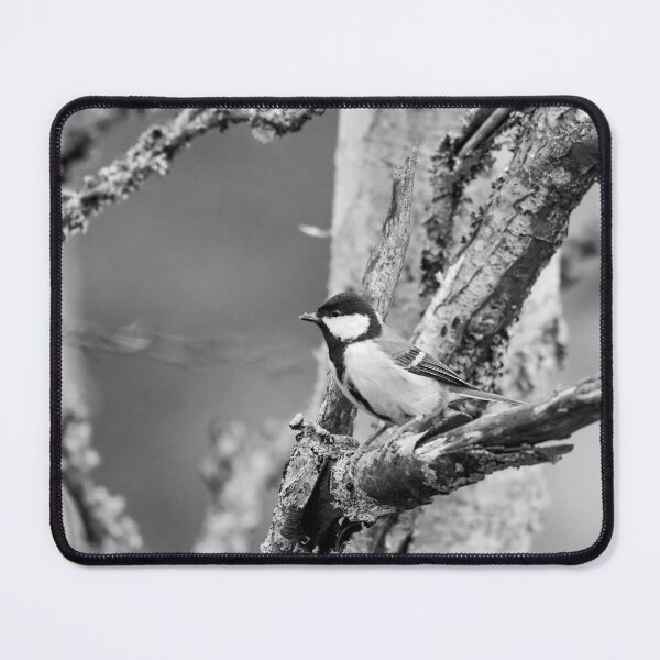 Item preview, Great tit square 2024 designed and sold by Jouko Lehto Photography.