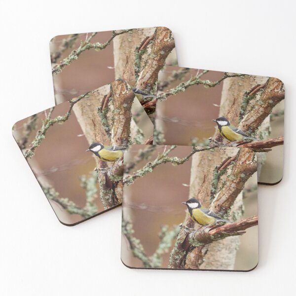 Item preview, Great tit square 2024 designed and sold by Jouko Lehto Photography.