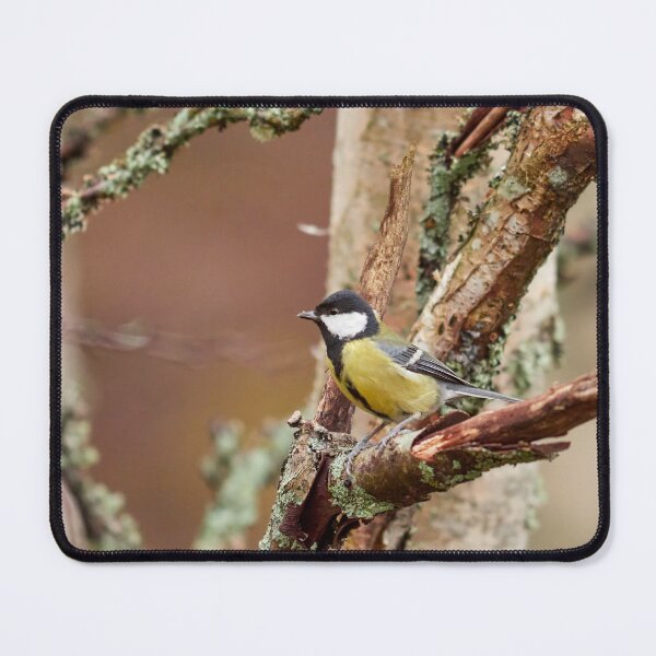 Item preview, Great tit square 2024 designed and sold by Jouko Lehto Photography.
