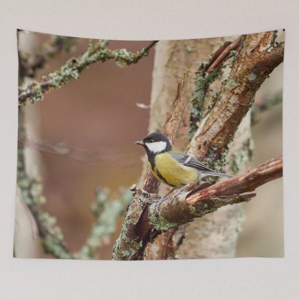 Item preview, Great tit square 2024 designed and sold by Jouko Lehto Photography.