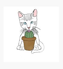 Lámina fotográfica Gato y Cactus