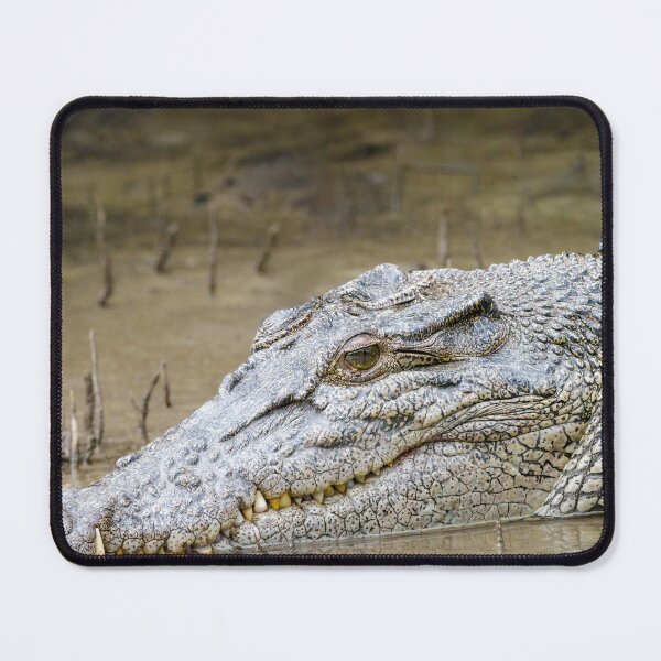 Item preview, Estuarine Crocodile designed and sold by PhotosbySandyS.