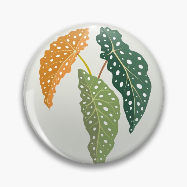 Item preview, Polka Dot Begonia Maculata designed and sold by Avisnanna.