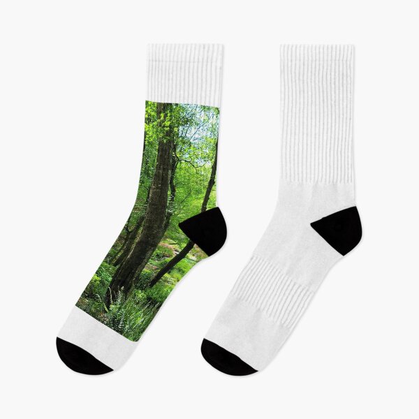 Item preview, Leaning tree designed and sold by Larrysphotos.