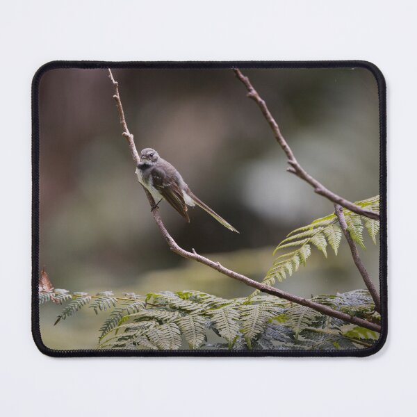 Item preview, Grey fantail in the Australian Bush designed and sold by Tara Smithson.