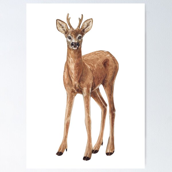 Item preview, Deer designed and sold by Katerina Mitkova Kirilova.