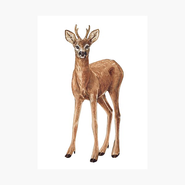Item preview, Deer designed and sold by Katerina Mitkova Kirilova.