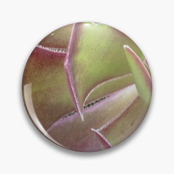 Item preview, Aeonium Arboreum - A Striking Succulent designed and sold by imaginethis.