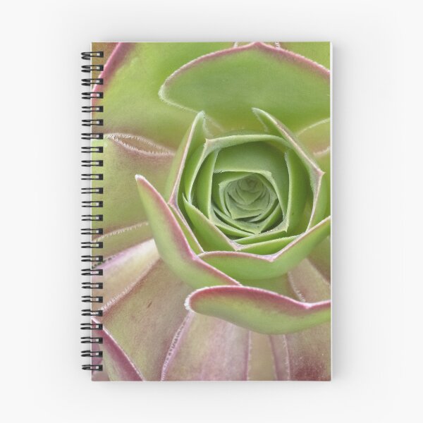 Item preview, Aeonium Arboreum - A Striking Succulent designed and sold by imaginethis.