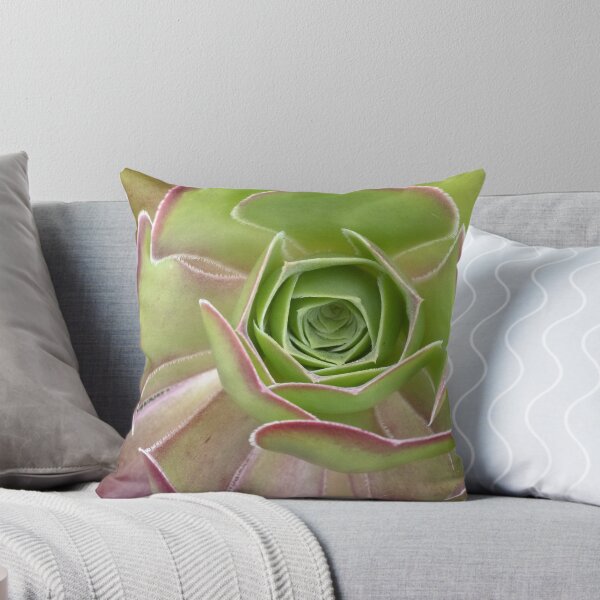 Item preview, Aeonium Arboreum - A Striking Succulent designed and sold by imaginethis.