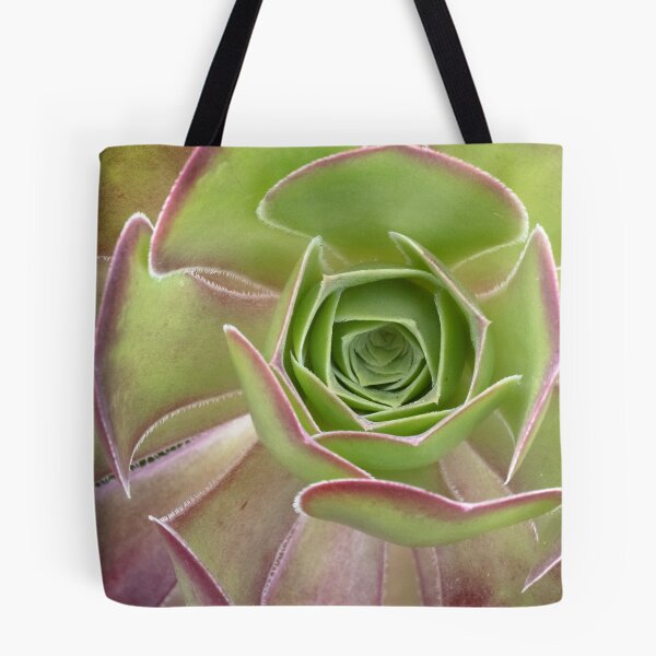 Item preview, Aeonium Arboreum - A Striking Succulent designed and sold by imaginethis.
