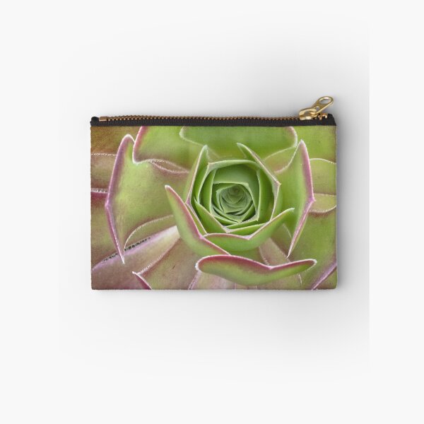 Item preview, Aeonium Arboreum - A Striking Succulent designed and sold by imaginethis.