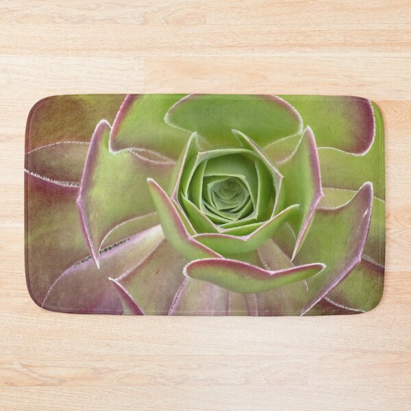 Item preview, Aeonium Arboreum - A Striking Succulent designed and sold by imaginethis.