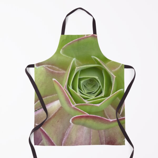 Item preview, Aeonium Arboreum - A Striking Succulent designed and sold by imaginethis.
