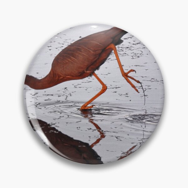 Item preview, White Faced Heron designed and sold by pedroski.